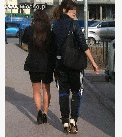 Spodnie adidas.