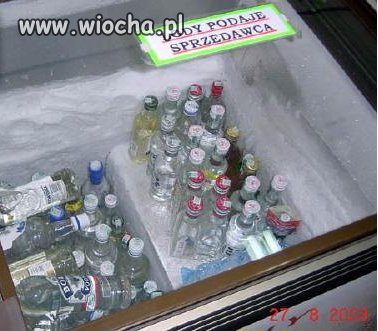 Lody po polsku 