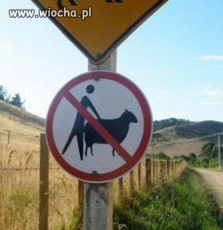 Dlaczego? przecież owca też lubi od tyłu.