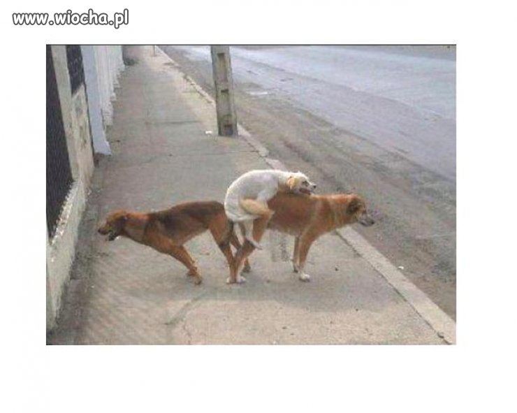 Święta trójca 