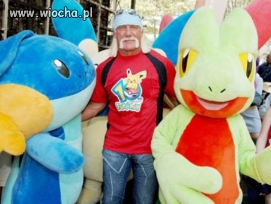 Pokemony są wszędzie