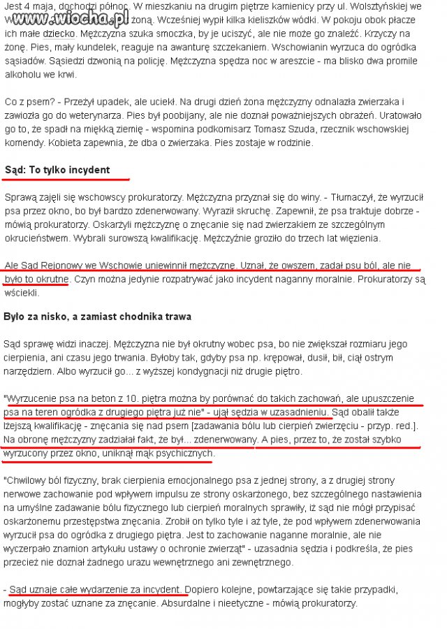 Wyrzucił psa przez okno z 2 piętra
