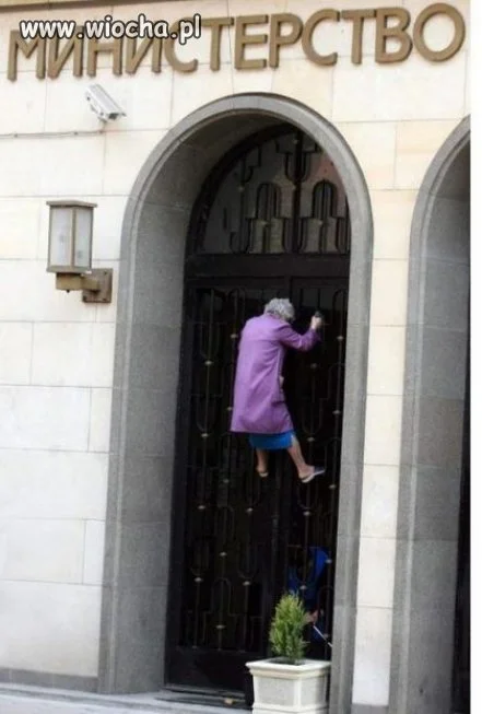 "Niesamowity Spiderman"