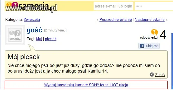 To po ch*j wzięła psa?