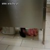 Poraczkuj sobię kochanie