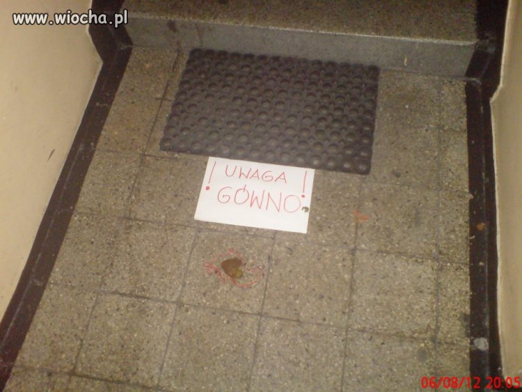 Pomysłowość sąsiadów