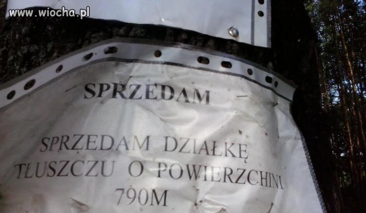 Działka tłuszczu na sprzedaż