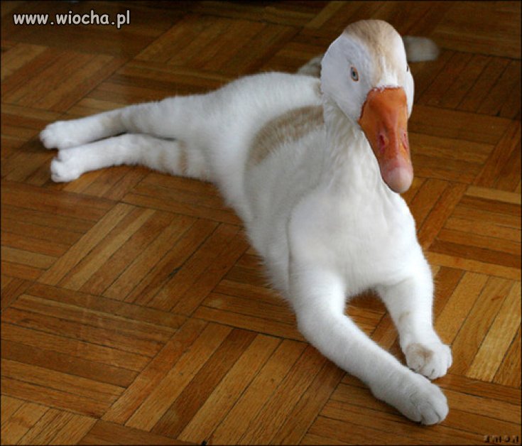 Jarosław ma jednak potomstwo !!!