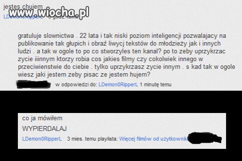 Kultura niektórych internautów, "youtube'rów"...