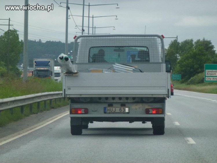 Tak..