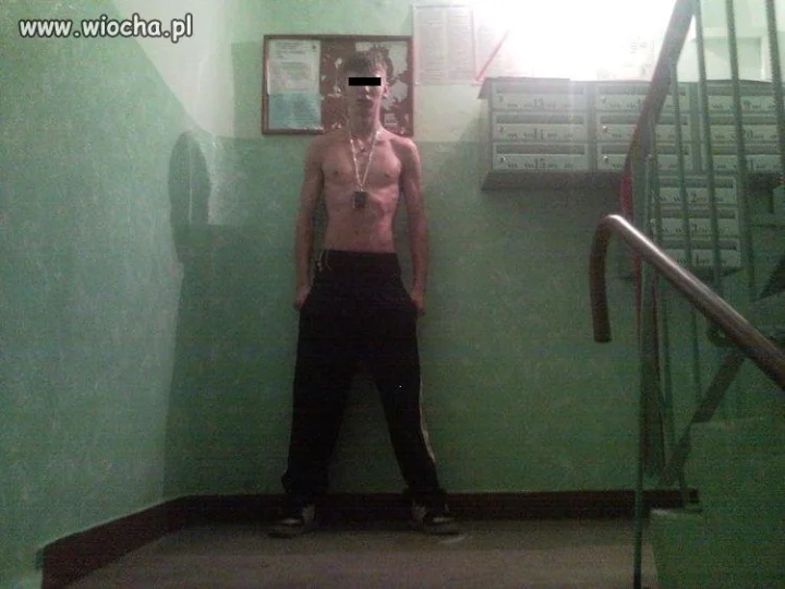 Wiocha Prawda?! 