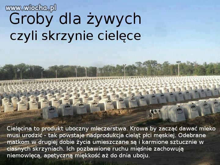 Groby dla żywych...