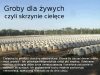 Groby dla żywych...