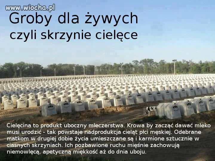 Groby dla żywych...
