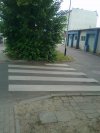 Przejście dla pieszych chyba