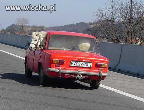Organiczny Chiptuning