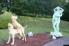 A u nas tylko tupolewy stawiają...
