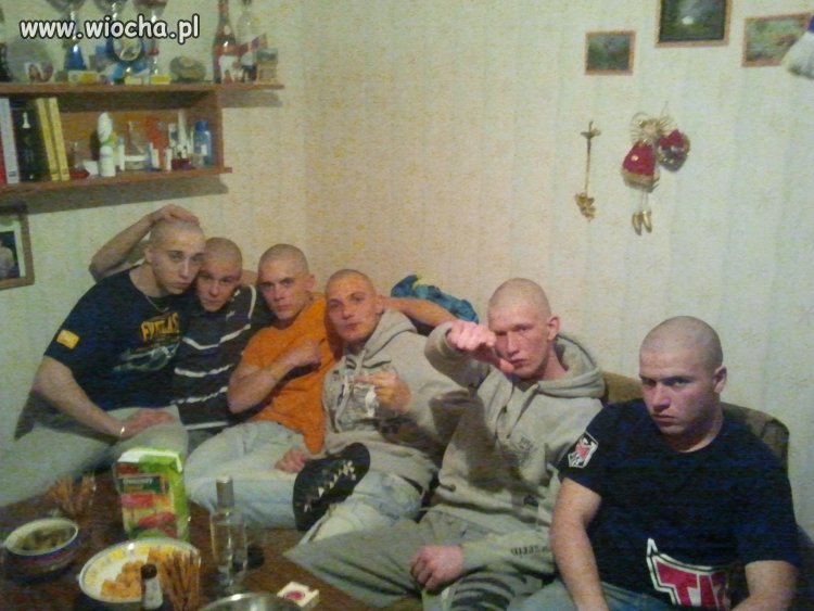 Kocury
