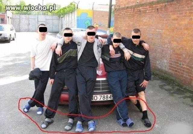 Polska Mafia 