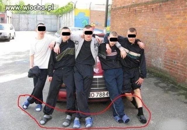Polska Mafia 