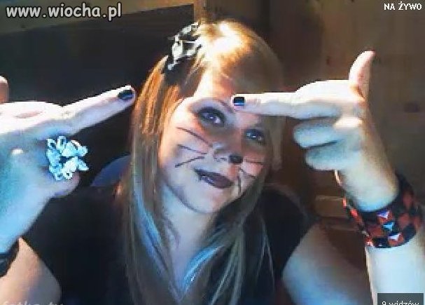 Sweeet Cat.