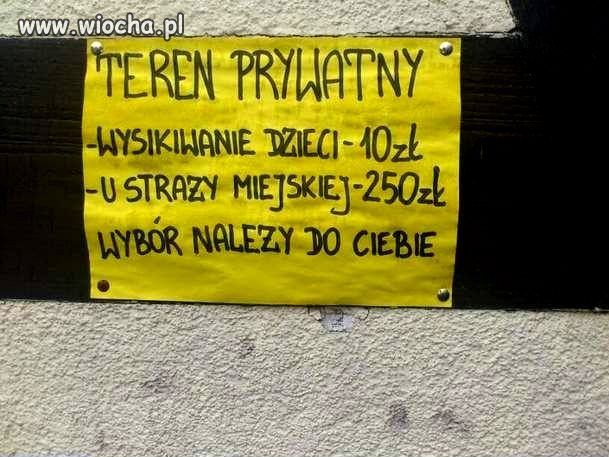 Alternatywa