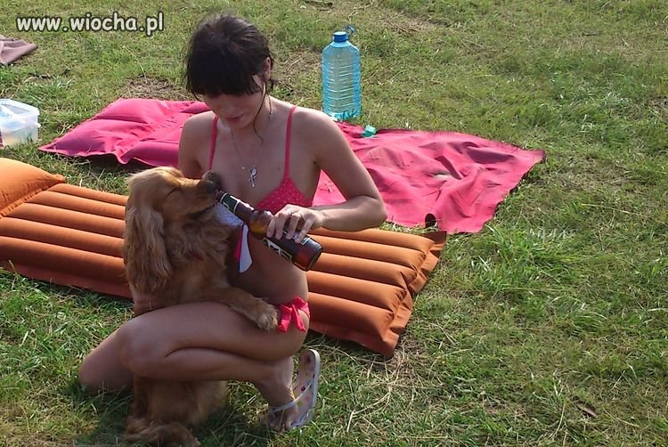 Jak dla mnie głupota totalna.