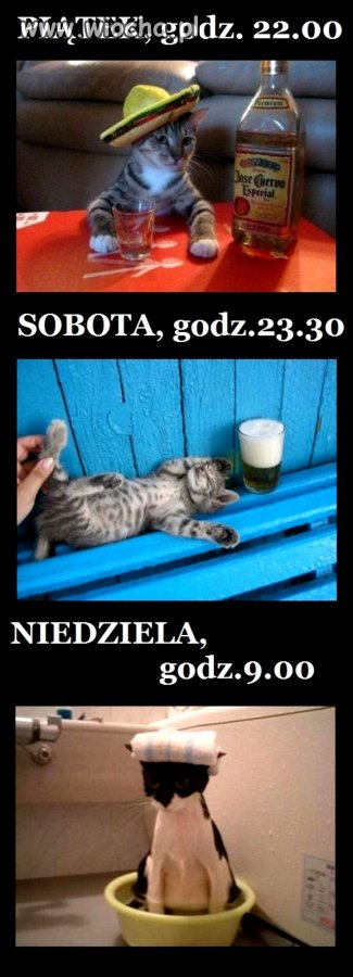 Wszystkim miłośnikom