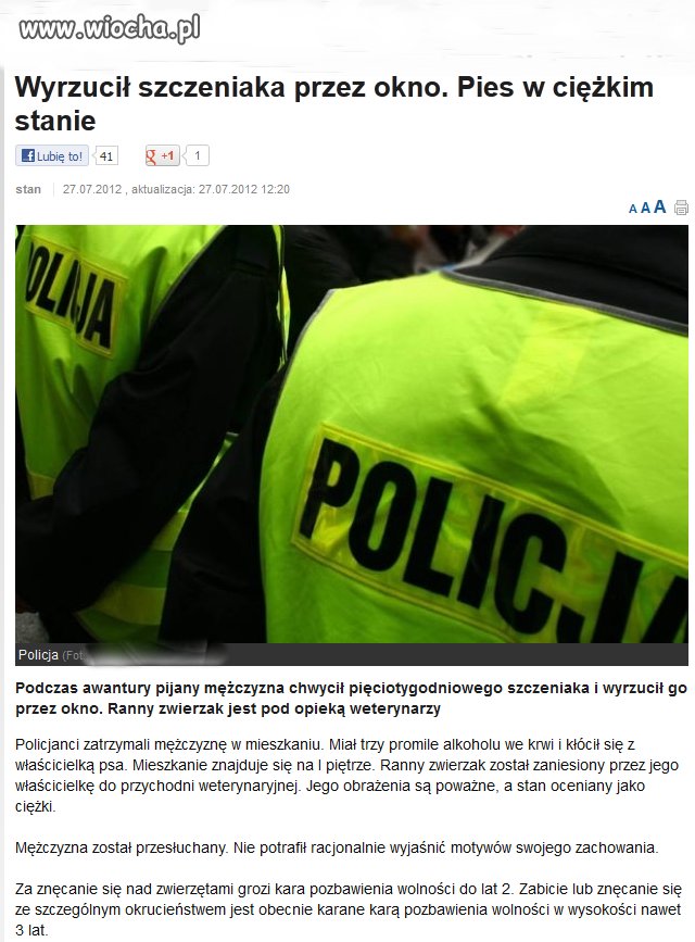 Brak słów na takiego gnoja