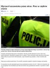 Brak słów na takiego gnoja
