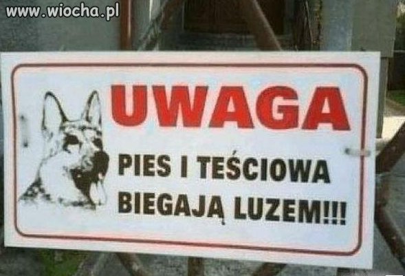 Ciekawe kto groźniejszy