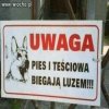 Ciekawe kto groźniejszy