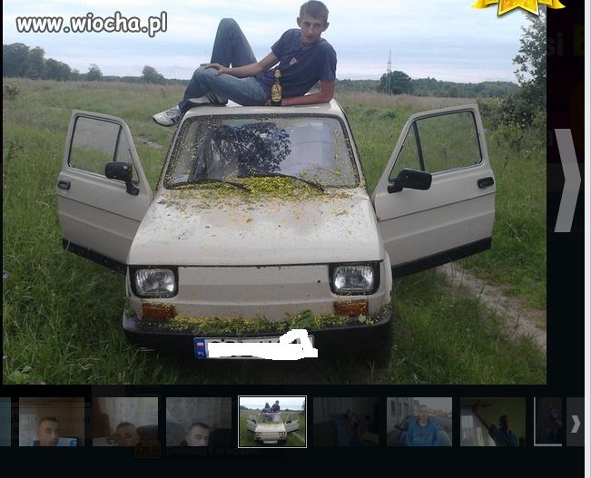 Taka tam małpa na aucie...