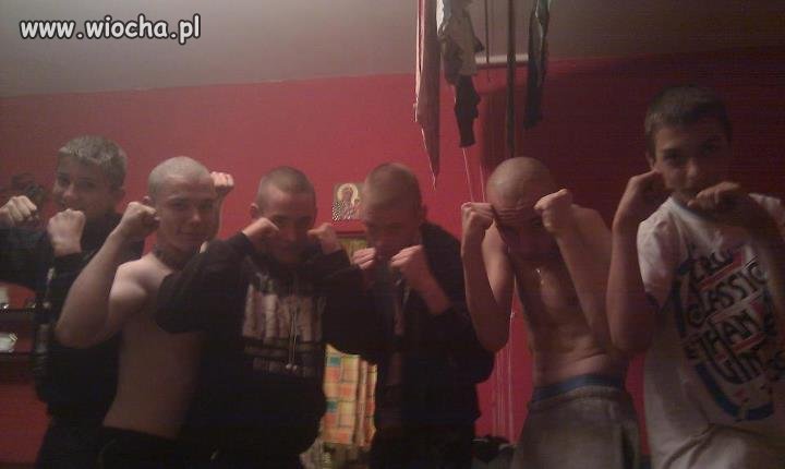 Gangsta Aleksandrów 