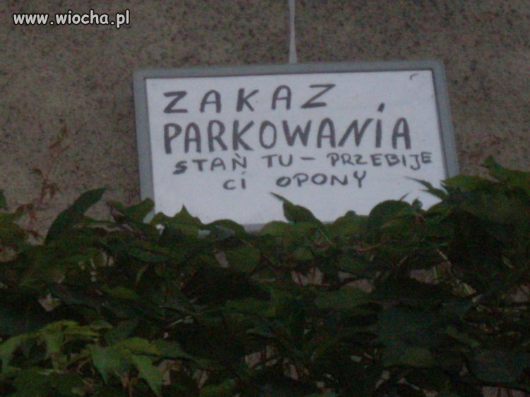 Polskie realia.