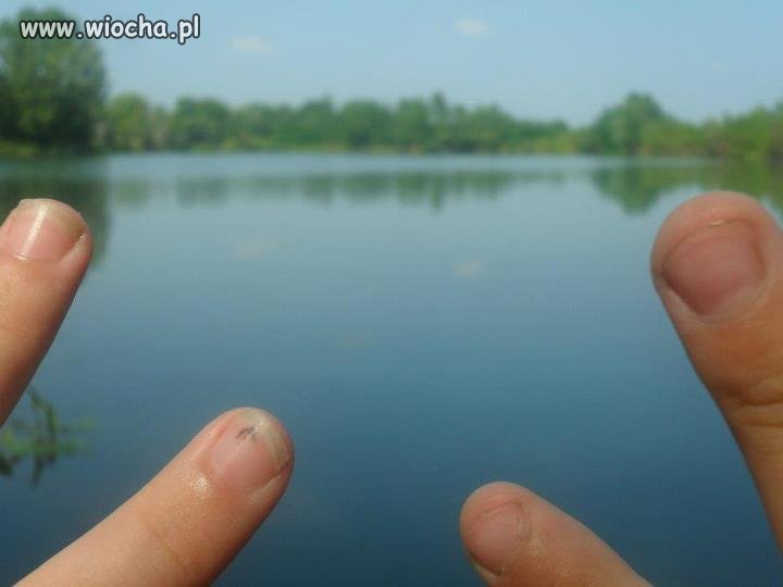 Widok może i ładny...