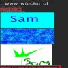 Profesjonalny grafik nie ma co 