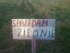 "Sprzedam ziemnie"