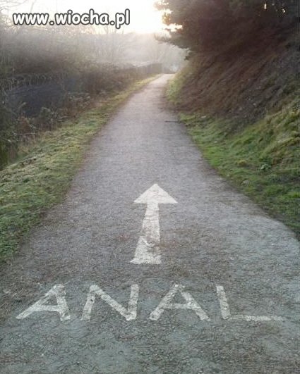 Analna droga 