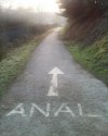 Analna droga 