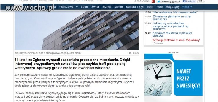 Pijany 61 latek wyrzucił szczeniaczka przez okno..