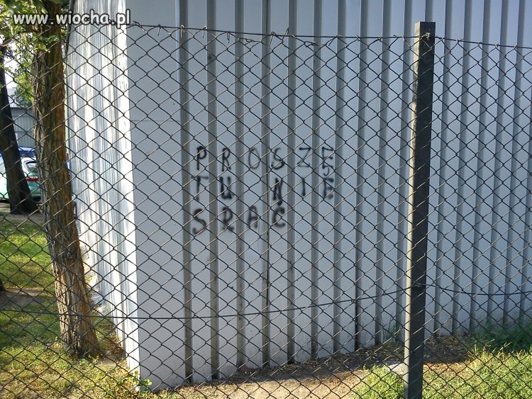 Polacy