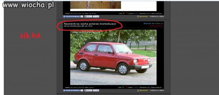 Ortografia jednego z użytkowników Wiocha.pl