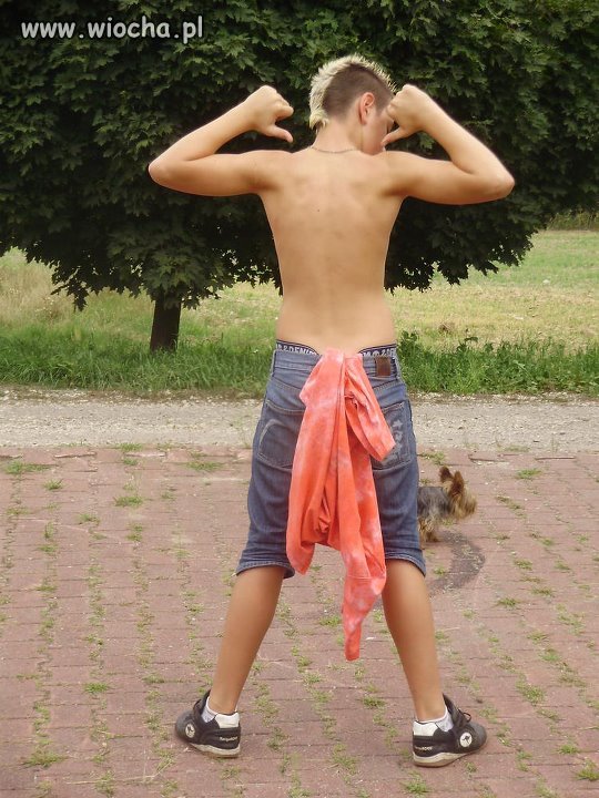 Plecy