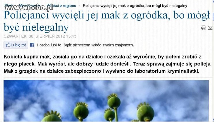 Nie będzie makowca