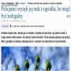 Nie będzie makowca