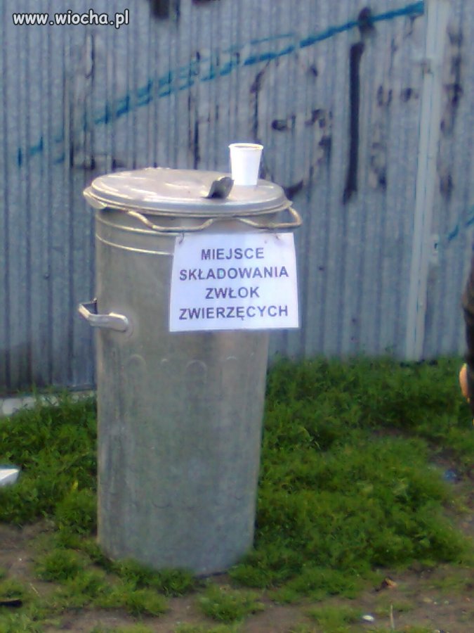 Giełda zwierząt Busko - Zdrój
