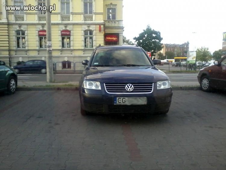 Mistrz nad mistrzami 