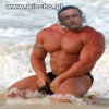 Mistrz Painta 