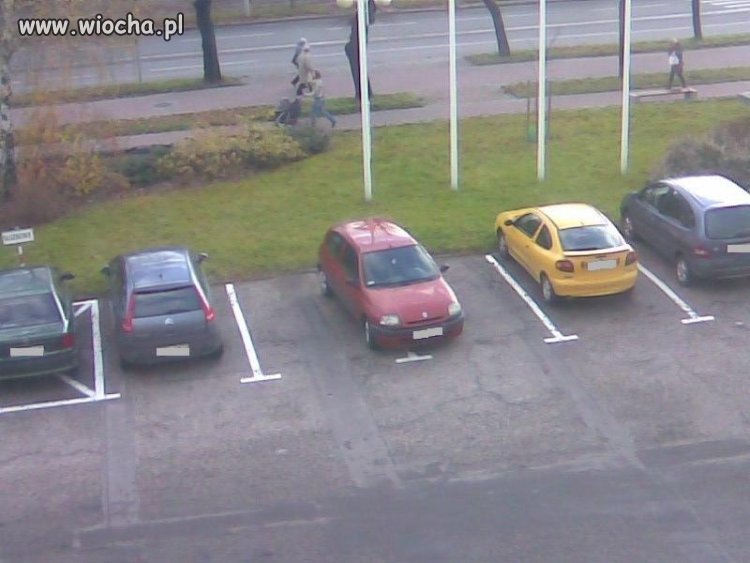 W głowach się poprzewracało ..